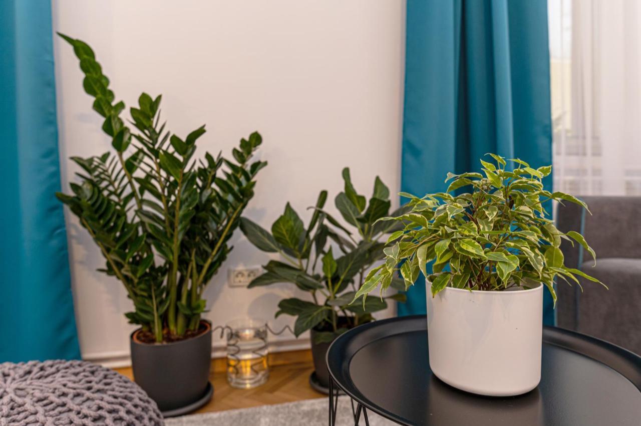 Garden Hideout - Central Apartment Braşov Eksteriør billede